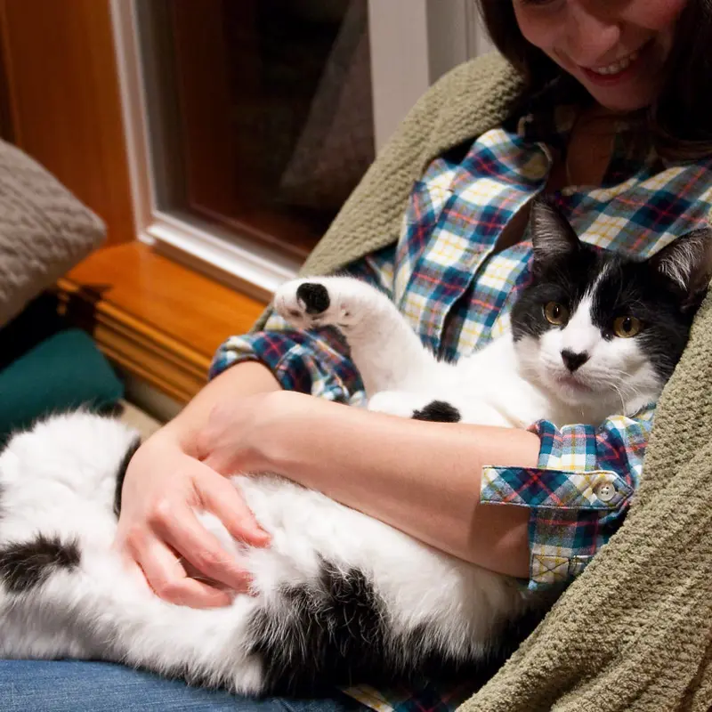 Une passionnée serrant son chat dans ses bras sur le canapé