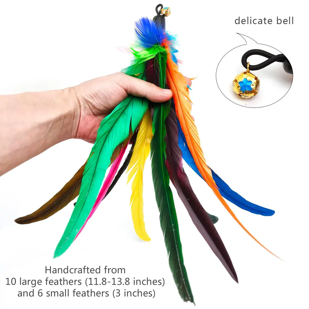 Recharges de plumes colorées pour canne à chat