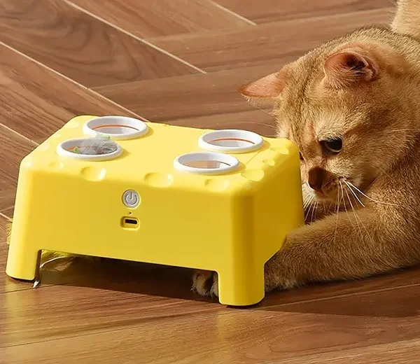 Chat jouant avec le jouet interactif 3-en-1 jaune facon fromage