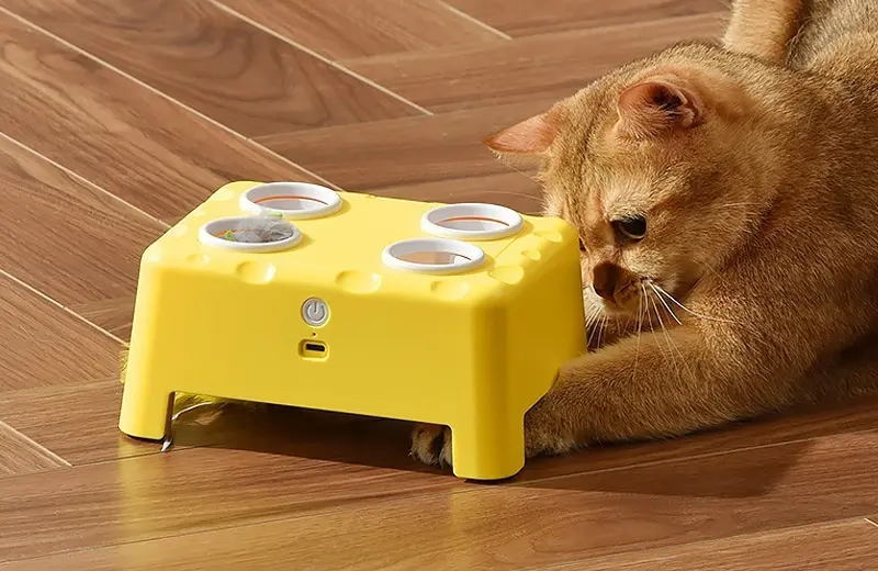Chat jouant avec le jouet interactif 3-en-1 jaune facon fromage