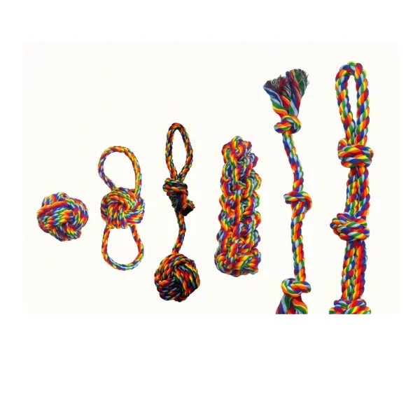 Jouets en Corde pour Chien – Lot de 6