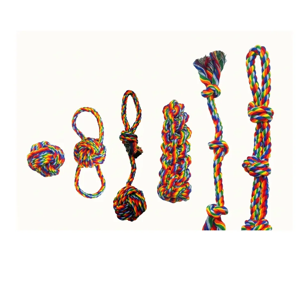 Jouets en Corde pour Chien – Lot de 6