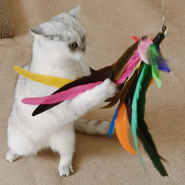 Kit Canne à Plumes Rétractable pour Chat – 2 Cannes + 9 Recharges